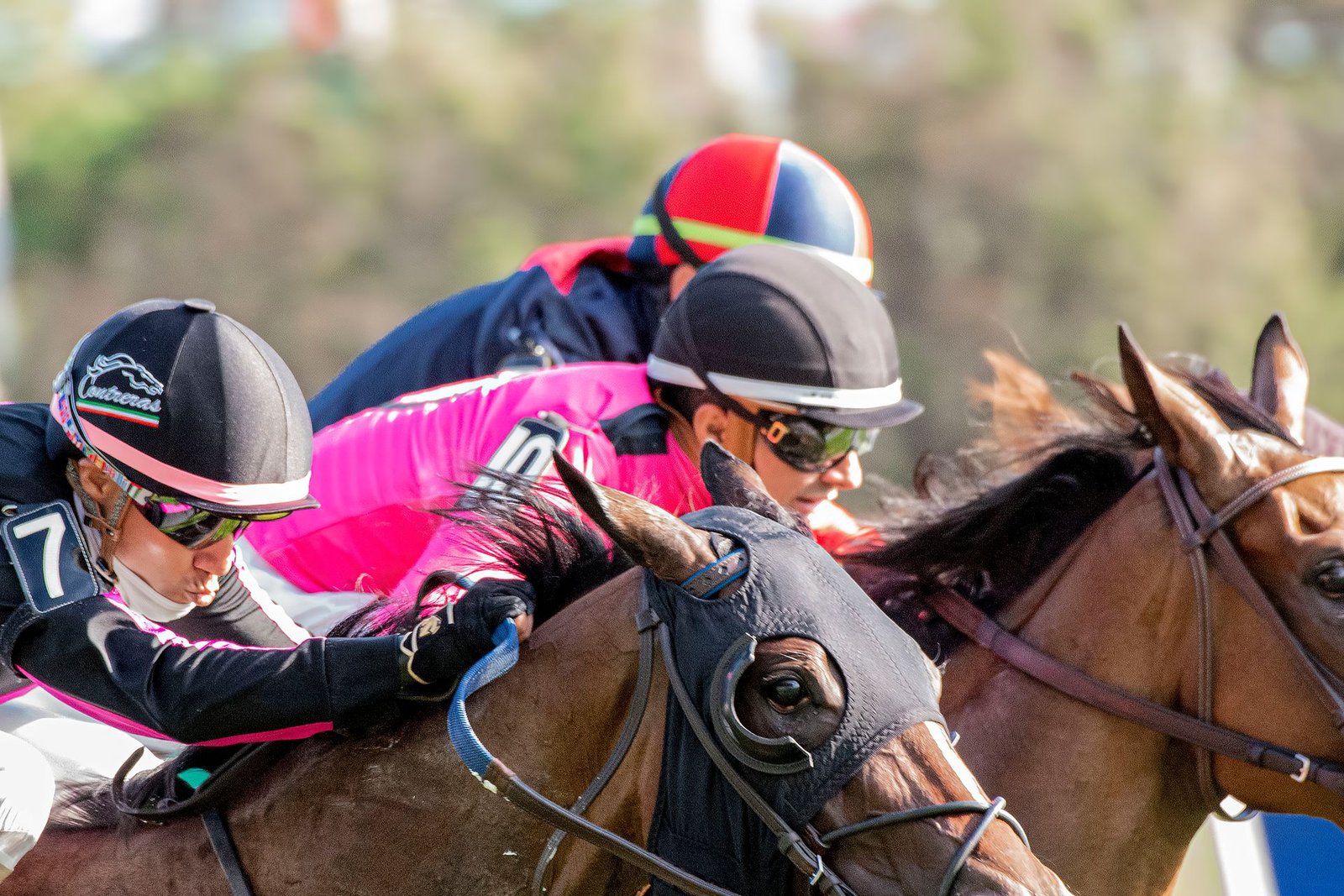 Partants & équipe